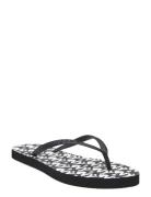 Susan - Flip Flop Black DKNY