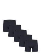 5 Pack Tights Navy Shine Original