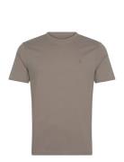Brace Ss Crew Brown AllSaints