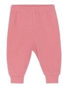 Pants - Solid Pink CeLaVi