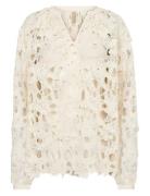 Sc-Paja Cream Soyaconcept
