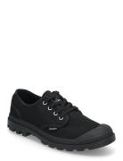 Pampa Oxford Black Palladium