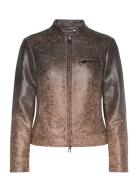 Tucson Brown Desigual