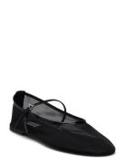 Mash Balerina Black Steve Madden