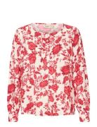 Frhita Bl 1 Red Fransa