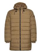 Marogan Nl Brown Matinique