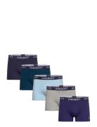 Miller Blue Lyle & Scott