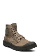 Pampa Hi Brown Palladium