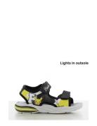 Pokemon Sandal Black Leomil