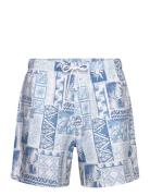 Hco. Guys Swim Blue Hollister