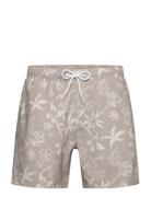 Hco. Guys Swim Grey Hollister