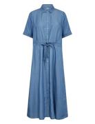 Sc-Liv Blue Soyaconcept