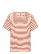 Sc-Barni  Soyaconcept