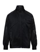 B Tsup Ttop Black Adidas Sportswear