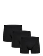Claudio 3-Pack Tights Black Claudio