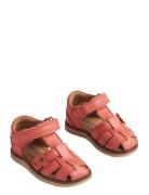 Sandal Sky Flower  Wheat