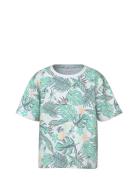 Nmmvalmas Ss Nreg Top Green Name It