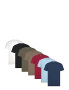 Hco. Guys Knits Patterned Hollister