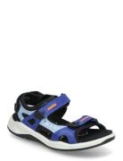X-Trinsic K Blue ECCO