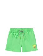 Niko Solid Green Molo