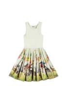 Cassandra Green Molo