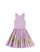 Cassandra Purple Molo