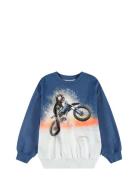 Monti Blue Molo
