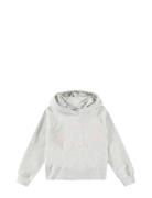 Minelli Grey Molo