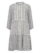 Nibipw Dr Navy Part Two