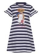 26/1 Jersey-Bear Dress-Dr-Dad Navy Ralph Lauren Kids