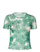 Marga Green Mango