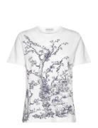 Fedelio White Munthe
