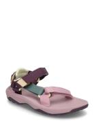 Hurricane Xlt 2 Pink Teva