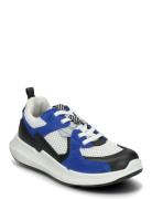 Biom 2.2 K Blue ECCO