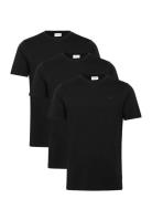 3-Pack Tee With Flag Print S/S Black Lindbergh