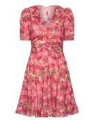 Cotton Party Mini Dress Pink By Ti Mo