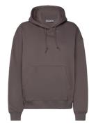 Standard Hoodie Brown Weekday