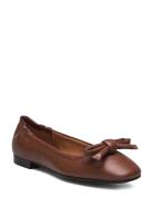 Ballerina Brown Billi Bi