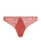 Thong Brown Calvin Klein