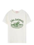 Rooster Kid T-Shirt White Logo Beige THE ANIMALS OBSERVATORY