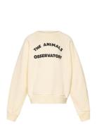 Shark Kid Sweatshirt White Logo Cream THE ANIMALS OBSERVATORY