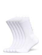 Fcuk 5 Pack Vertical Sock White French Connection