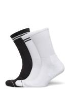 Sock 3 P Sport Rib Terry Sole White Lindex