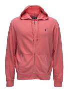 Lsl-Knt Pink Polo Ralph Lauren