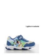 Bluey Sneakers Blue Leomil