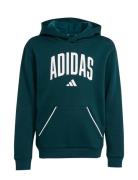 J Clgt Oh Fl Hd Green Adidas Sportswear