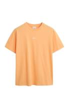 Small Graphic T-Shirt Orange GANT