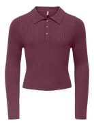 Kogmila Ls Rib Button Polo Neck Cp Knt Purple Kids Only