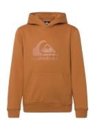 Comp Logo Hoodie Youth Brown Quiksilver