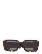 Avery Havana Brown Komono